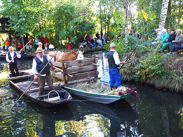 Spreewald Senfabend Spreewald