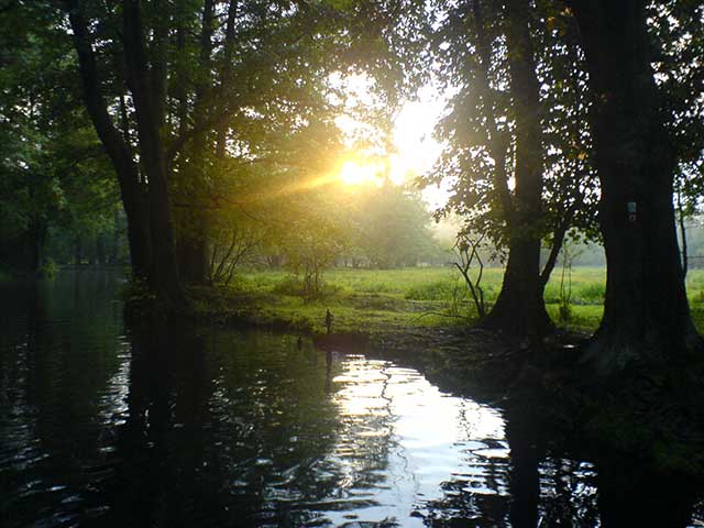 Lampionfahrt im Spreewald