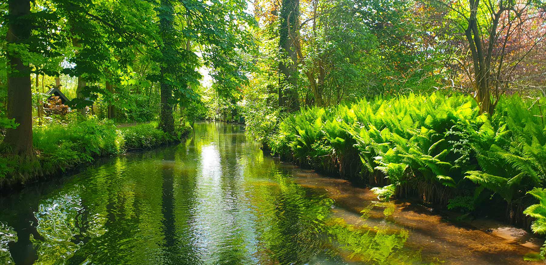 Kahnfahrt im Spreewald - Buchung